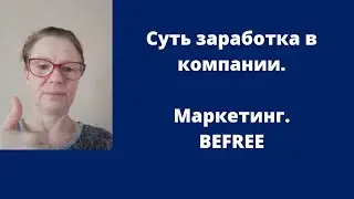 БЕФРИ. Маркетинг за 12 минут от создателя компании.