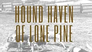 My Visit to Hound Haven of Lone Pine