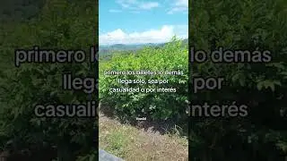 primero los billetes lo de más llegas solo 🤑🤑🤑🤑 Vraem Perú 🇵🇪🇵🇪🇵🇪🇵🇪