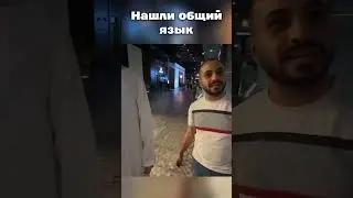 НАШИ СЛОНЫ