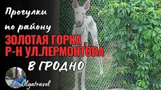 Прогулки по району, старая брусчатка и истории Гродно и гродненцев.