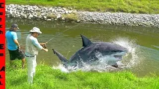 We CAUGHT the SHARK in a FRESHWATER! **and COOKED IT!**
