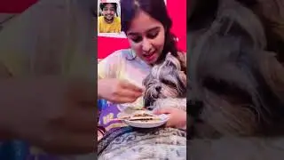 Birthday surprise for aly 💕 | longdistance relationship status | videocall | vishu aly #shorts