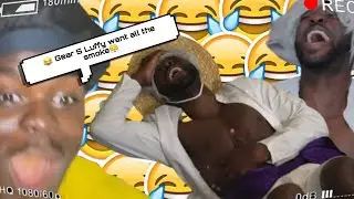 Gear 5 Luffy want all the smoke |anime house ova