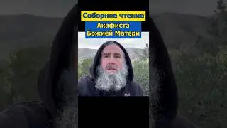 Соборное чтение Акафиста Божией Матери