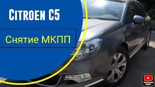 Citroen C5 x7 2.0 petrol, removal and replacement of clutch and oil seal.