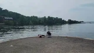 The Delaware River