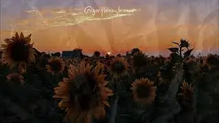 golden hour - jvke (speed up/nightcore)