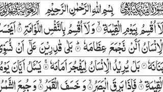 Surah Al Qyamah With Tajweed| Feamle Version| Learn Quran At Home With Tajweed 