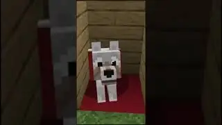 Best build hacks in minecraft | minecraft #384