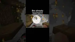 Minecraft Meme