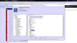 MIMIC NetFlow Simulator: Generate VOIP spike in Noction