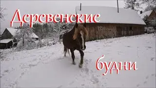 Зима, чистим снег.  Разбираю еще один чердак. Жизнь на Лесном Хуторе.