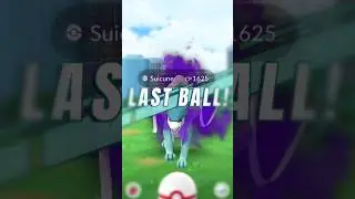 Suicune vs Last ball 🤯 || Shadow Legendary raid pokemon go #anime #shorts