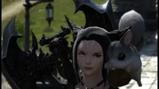 2 Days after patch 5.5 and they are still here
