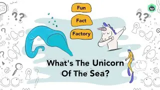 Unicorns Are Real??? Did You Know | Cartoons For Kids