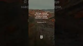 Псалом 54:7-11 в современном переводе 