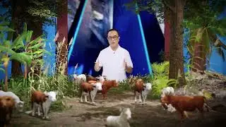 Pengenalan dan Solusi PMK (PENYAKIT MULUT & KUKU)