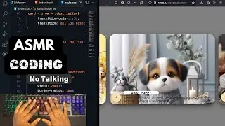 ASMR CODING  - Animated Flex Card using ( HTML & CSS  only) FREE SOURCE CODE IN VIDEO.