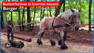 Buitenfestival Boomkroonpad