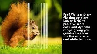 iPhone 14 Pro: How to Take 48-Megapixel ProRaw Photos