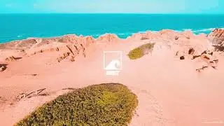 Ziggy Alberts - Simple Things