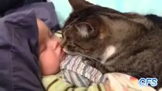 ПРИКОЛЬНЫЕ УСАТЫЕ СМЕШНЫЕ 18