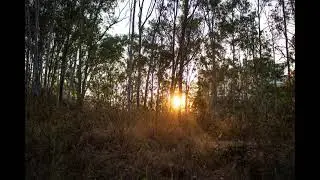 Bengaluru's only surviving forest|| Turahalli Forsest || Excellent place for biking trails