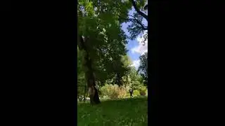 Flying Disc play