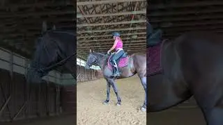 Biomechanics of Riding with Elaine Johnson.