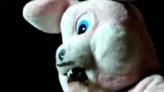 Green Day - The Bunny Rabbit