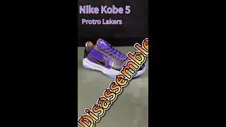 Disassemble A Pair $100 Basketball Shoes Nike Kobe 5 Protro Lakers #Kobe5 #lakers #basketballshoes