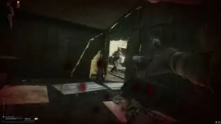CoD perk found its way into Tarkov