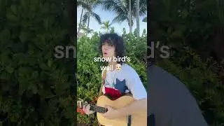 a song about the fever dream that is growing up in Florida #originalsong