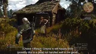 Best Choice for 'Wild at Heart'｜The Witcher 3 Next-Gen