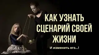 Как узнать свой сценарий и изменить его #судьба #расстановки #психология