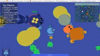 играю в игру mope.io