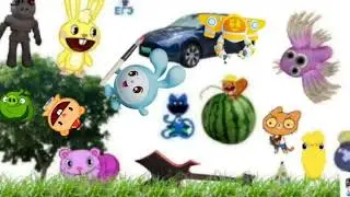 The game 