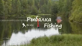Всем привет