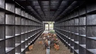 Kengo Kuma builds blackened-wood chicken coop at Casa Wabi artist retreat