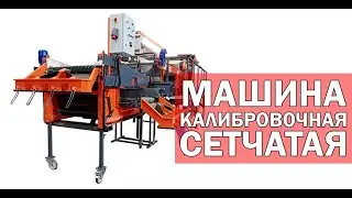 Калибровка свеклы и картофеля (видео)