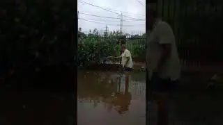 Полил сад