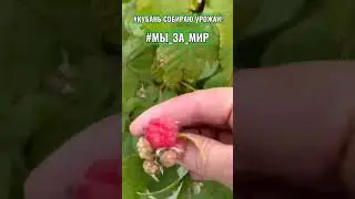 #МЫ_ЗА_МИР