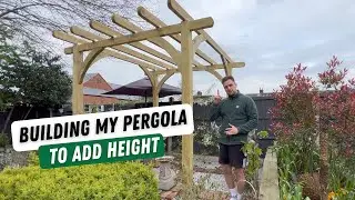 Building a Pergola in my Garden to Add Height
