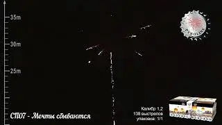 СП07   Мечты сбываются
