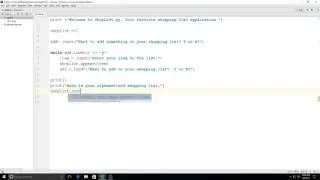 Python Practice:  Shopping List Application with Lists