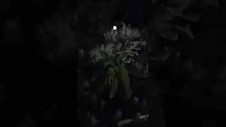 8 мая 2024 года  -2С 22.00