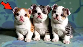 In saving them, the firefighter realized that they were not kittens...