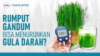 Mitos Fakta Seputar Rumput Gandum, Bisa Menurunkan Gula Darah? | Hidup Sehat tvOne