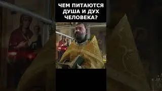 Чем питаются душа и дух человека? Священник Валерий Сосковец  #жизнь